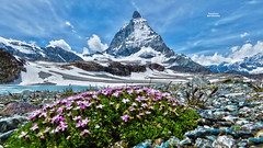 Trockener Steg - Matterhorn - Klein Matterhorn