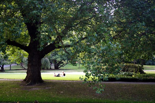 Hagley Park (Christchurch)