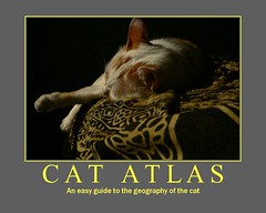 Atlas of the Cat
