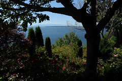 Seattle private garden, Washington state, USA
