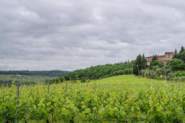 20150522-Tuscan-Wine-Country-0303