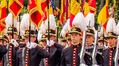 21 juillet 2015 - Ecole Royale Militaire (ERM) - Koninklijke Militaire School (KMS) V2