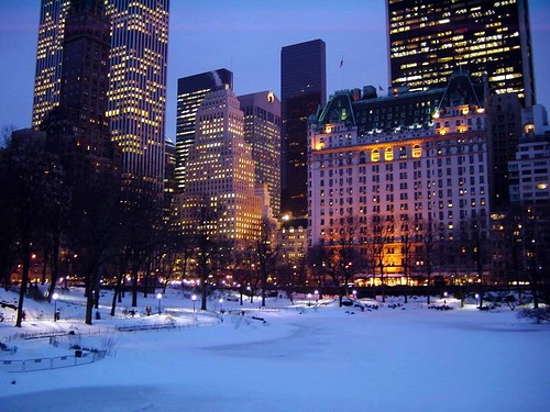 Winter Evening in Central Park