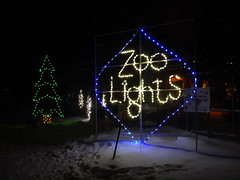 Zoo Lights 2016-12-17