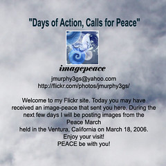 Call for Peace -VC