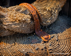Rope and rust, Bolsa Chica Wetlands...