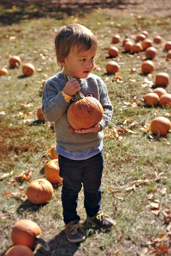 Pumpkin patch toddler