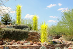 Desert Botanical Garden (Phoenix)