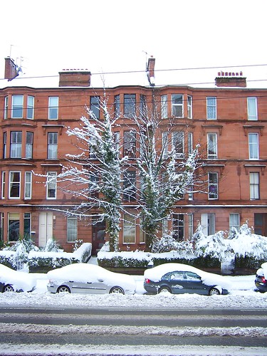 Snowy tree in front of Glasgow Tenement building, Crow Road