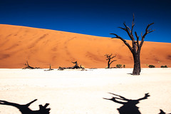 The Long Shadows of Sossusvlei, Namibia