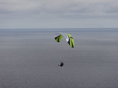 Paragliders 2015