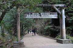 National Monument, Muir Woods 