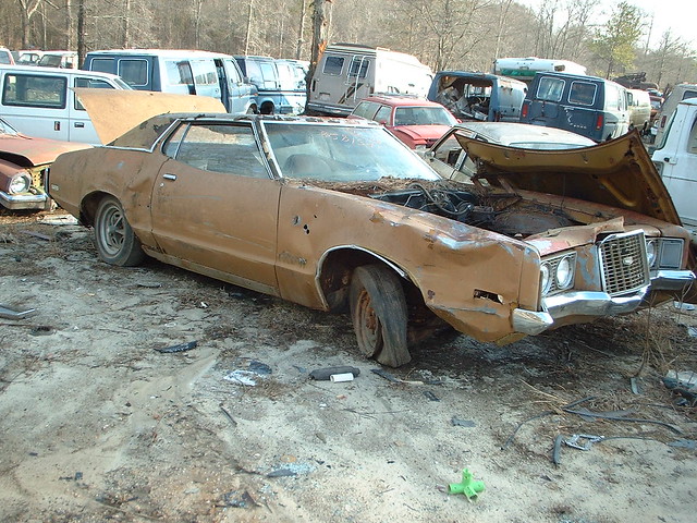 The Junkyard Photo Thread - The Ford Torino Page Forum - Page 2