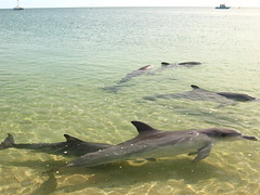 Shark Bay