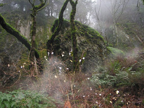 Spooky Rock in Columbia Gorge by stewickie