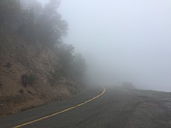 2017-01-24 Foggy