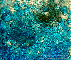 Bubbles Art - All