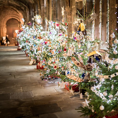Chester Cathedral Christmas Tree Festival (28th Nov 2015)