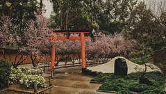 Auburn Botanic Gardens