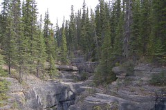 Mistaya Canyon, Icefield Parkway