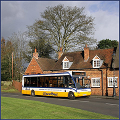 Buses - Johnsons Excelbus