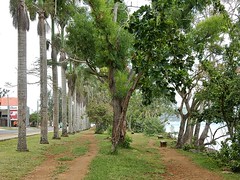 Port Vila (part 2)