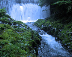2015.Aug:Izu National Park 伊豆の滝と森