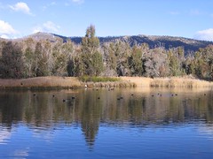 Lake at Tidbinbilla Nature Reserve