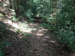 Bear Den Creek Trail 