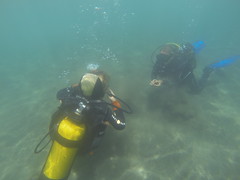 Kayleigh Diving 