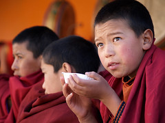 India - Buddhist Monks