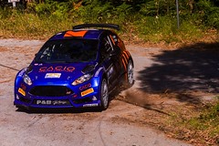 Ford Fiesta R5 Chassis 102 (destroyed)
