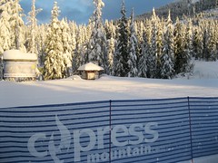 Cypress second ski-day - December 2015