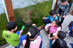 Shou Shan Zoo, Kaohsiung Taiwan