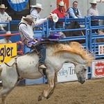Bare back riding, Greeley Rodeo