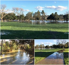 Flooding Around Hellyer County Park (2-24-2017)