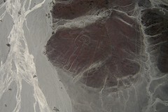 Peru - Nazca lines / Petroglifos de Palpa & Toro Muerto