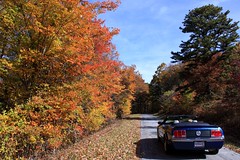 Autumn on the Blue Ridge Parkway 2015