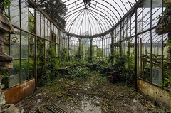 Abandoned greenhouse, BEL