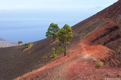 La Palma - Vulkantour
