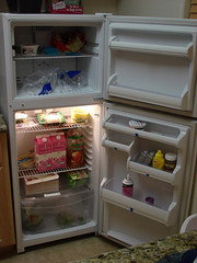 Life in the fridge.