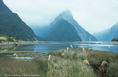 New Zealand - Fiordland National Park