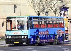 Hungarian buses