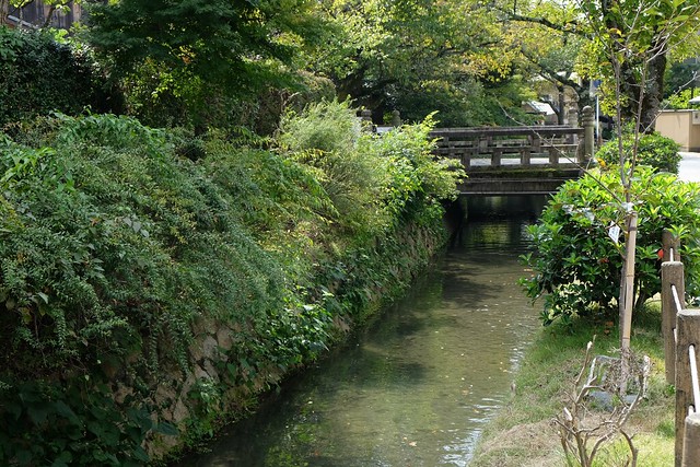 Walking along the philosophers trail in Kyoto