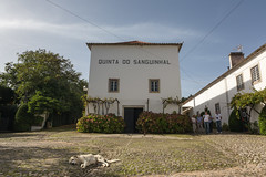 Quinta do Sanguinhal, Portugal