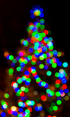 Christmas Lights 2015