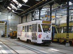STIB-Tram-Long Véhicle
