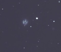 NGC2537 Bear's Paw Galaxy