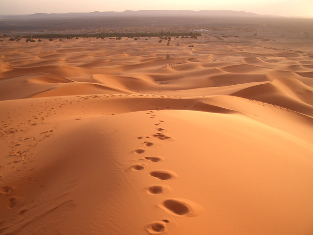 Desierto del Sáhara