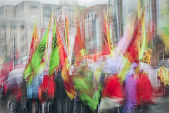 Parade in Motion, ICM collection